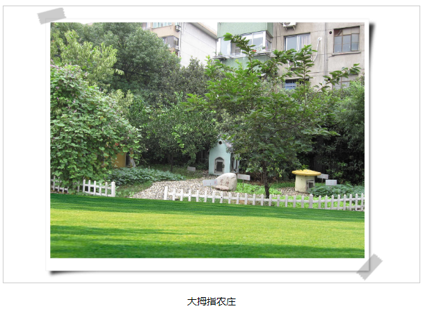 f70cc48a-d030-49ae-b3c7-9ff56f6460ef.png